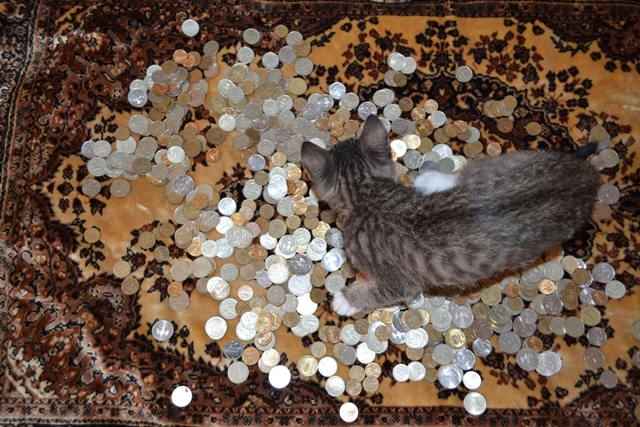 Котовторник   15.04.2014