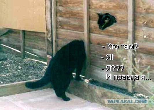 Позитивные картинки