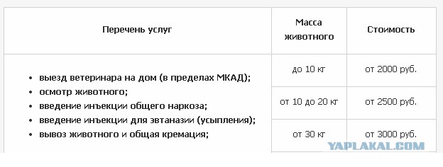Возможно ли стерилизовать ВСЕХ бездомных собак?