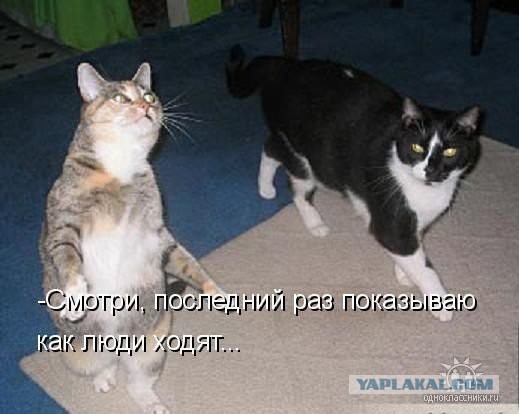 Кому юки отсыпать?