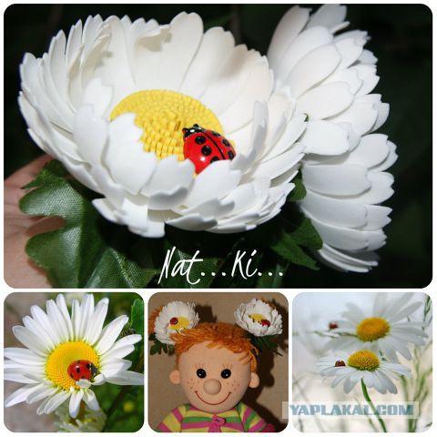 Красивое увлечение супруги