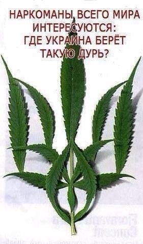Украина не понимает, как