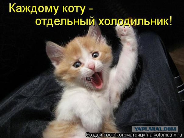 Картинки