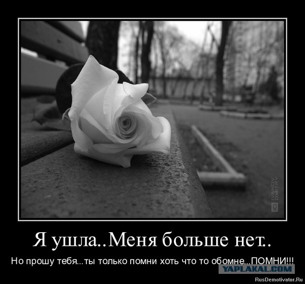 Давно демотиваторов не было