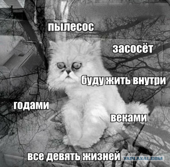 Что Петрушенька не весел? Что головушку повесил?