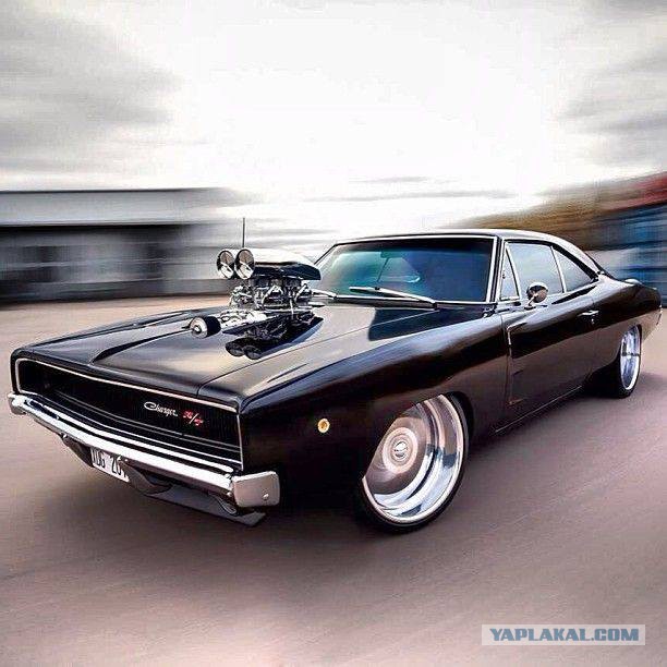 Muscle cars. История сумасшествия