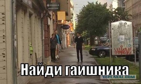 Насвистел походу