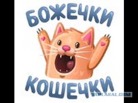 Люби меня, человек! Я сказал - люби!