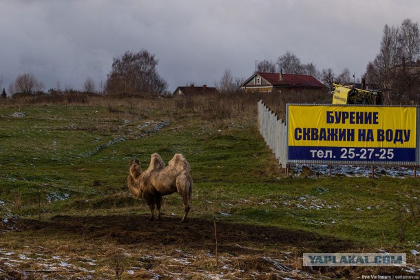 Очень плохой Сыктывкар