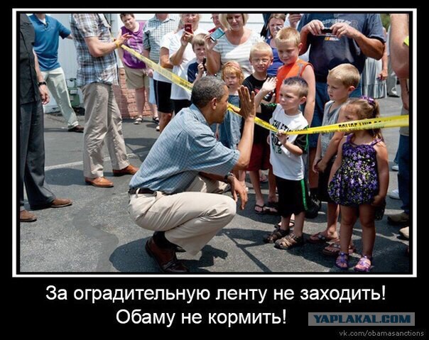Что будет если обезьяне дать в руки палку.