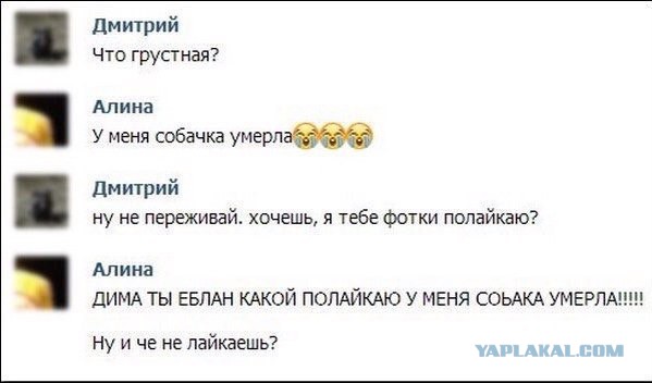 Ужасы и приколы из соцсетей 18+
