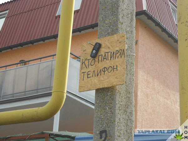 Ужасы и приколы, говорите?