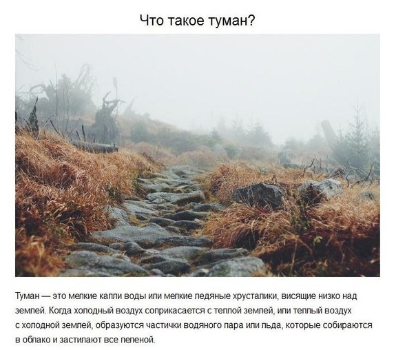 Подборка картинок