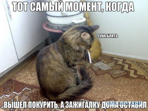 Небольшой микс картинок и гифок .