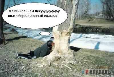 Фотожаба: Почувствуй себя бобром!