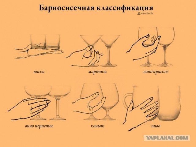 Занимательные факты о груди, о которых многие не знали