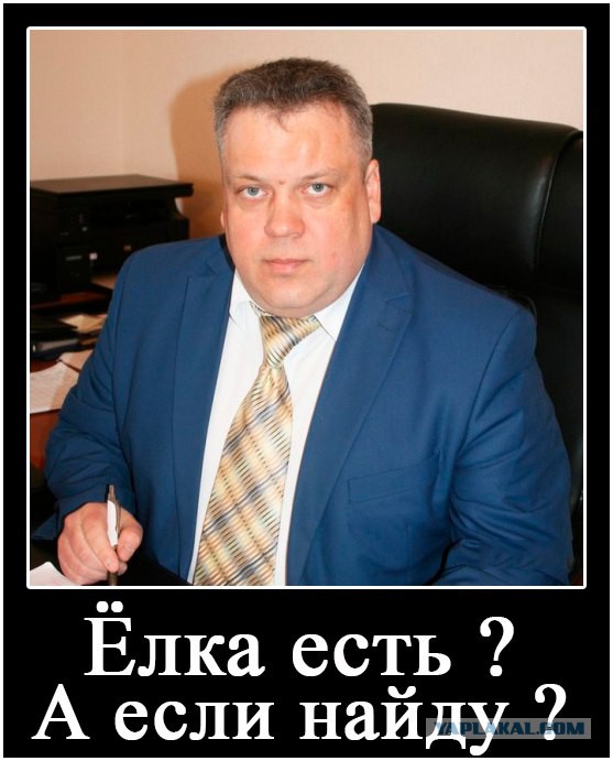 В Тюменском селе чиновники «добыли» новогоднюю елку в палисаднике у старушки