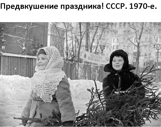 Подборка интересных и веселых фото