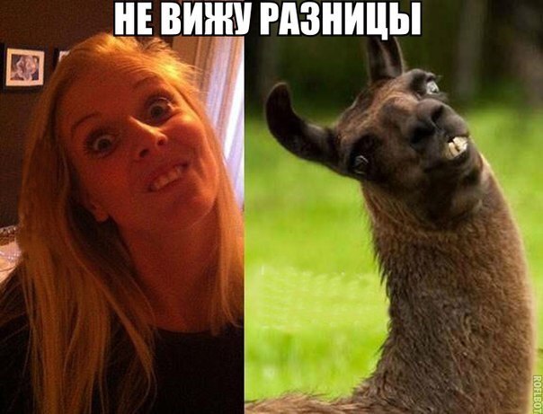 Всячина. Картинки и тексты картинками