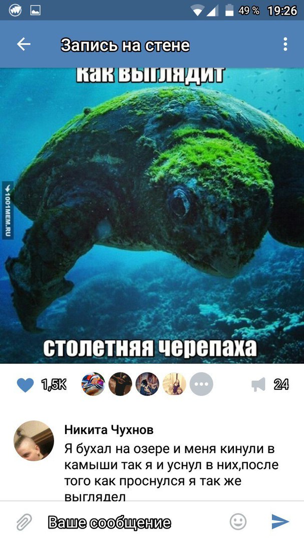 Ужасы и приколы из соцсетей 18+