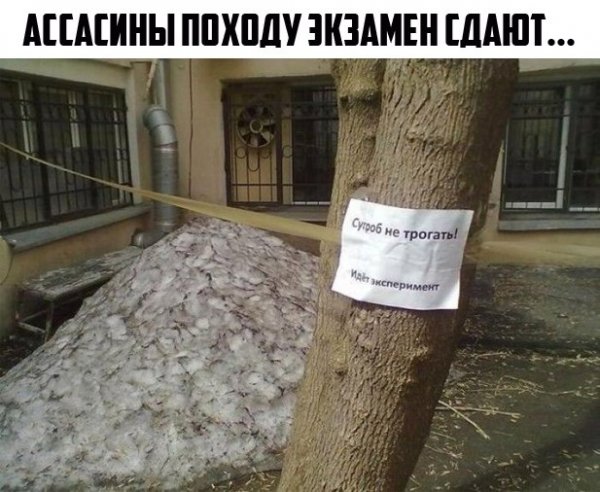 Околоигровой юмор ver. 0.05