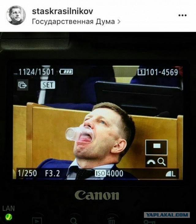 Подборка интересных и веселых картинок