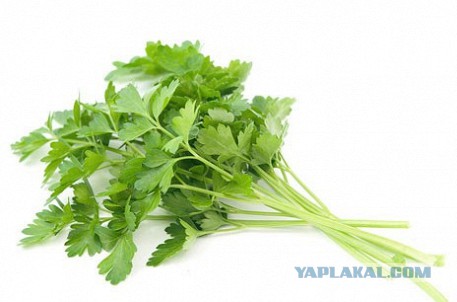 Фентезийная кухня Ведьмак 3  Рецепт паштета из зайчатины