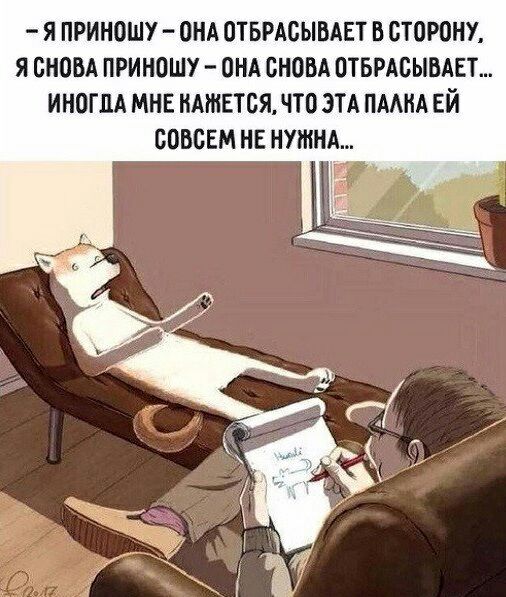 Подборка из этих интернетов