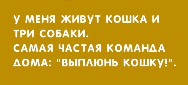 Картинки для настроения. Подборка на среду