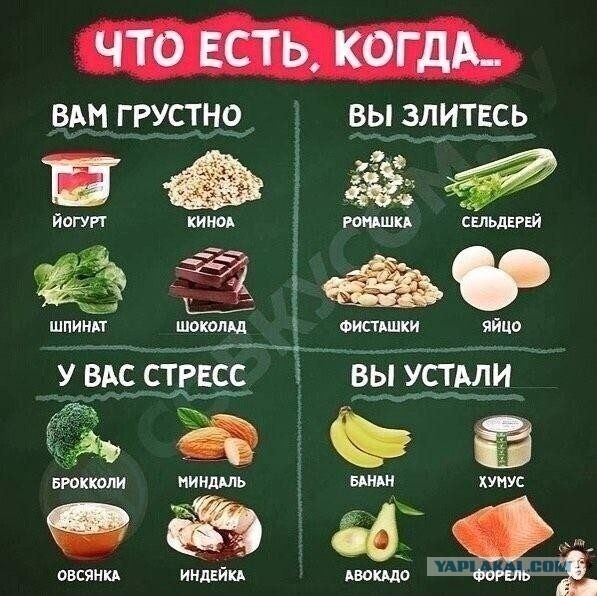 Кому что, а пожрать мы любим вкусно... 24 шпаргалки о здоровье и питании