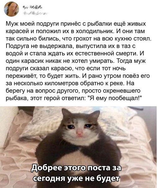 Картинки разнообразные. На злобу дня и на доброту (19.11)