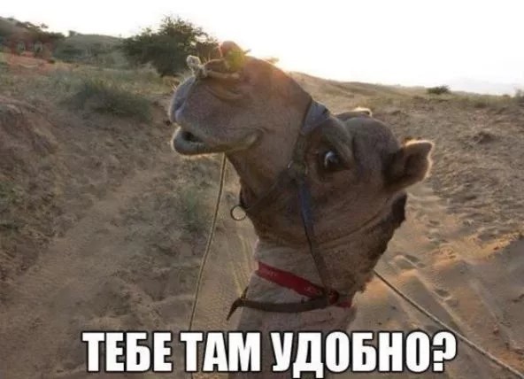 Воскресная деградация