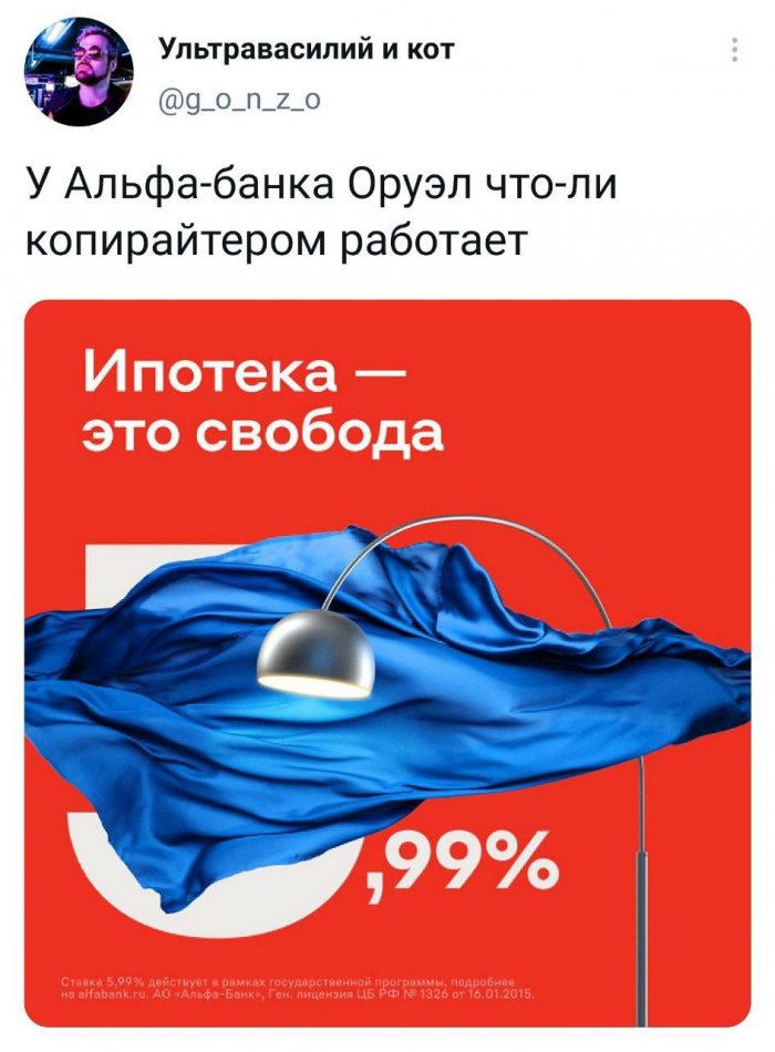 15334774.jpg