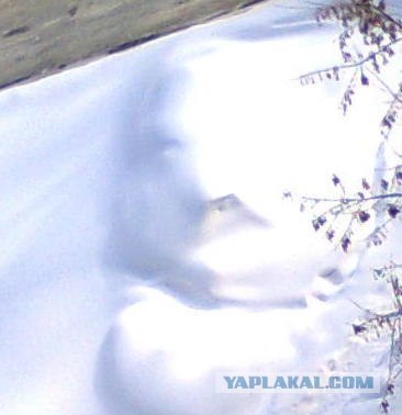 Метеорит был сбит. Нас спасли?