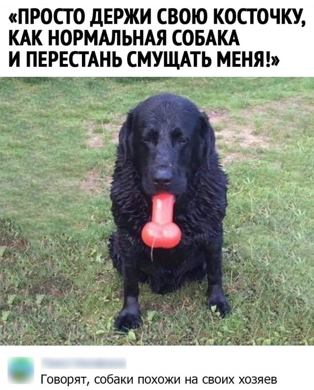 Пятница. И немного слегка пошлых картинок с надписями и без 16+ (13.08))