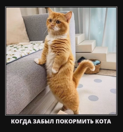 Весёлый полтишок 28.02.22
