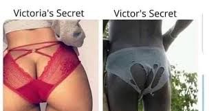 Первый каталог Victoria's Secret