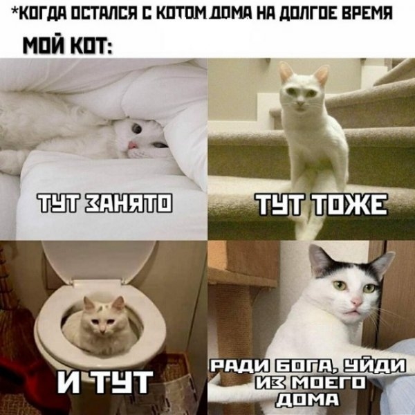 Картинки и мемы для настроения - 119