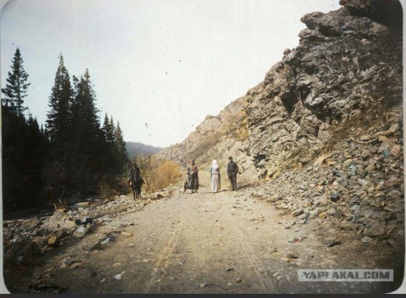 Сибирское казачье войско 1909г. Лица. Виды