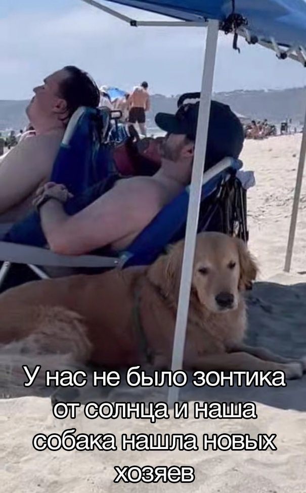 Весёлый полтишок 27.07.23