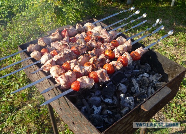 Выходные в самом разгаре