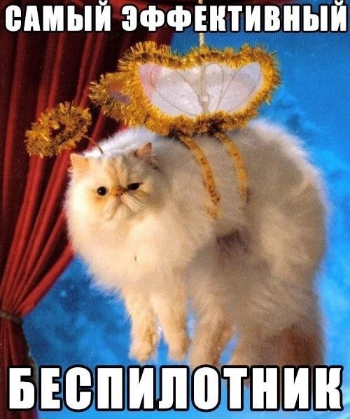 Всего понемногу. От 17.01.24