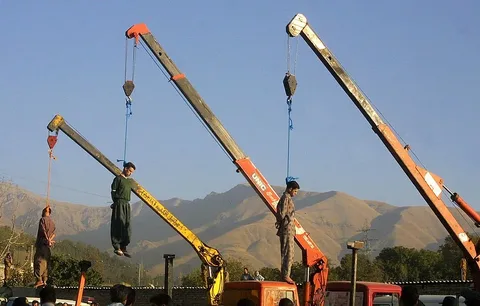 ВЭФ требует запретить домашние овощи и фрукты