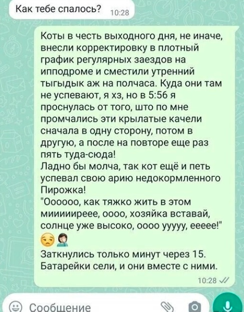 Юмор в картинках и без