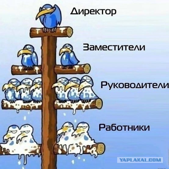 Главу Суджанского района Курской области Александра Богачёва отправили в отставку