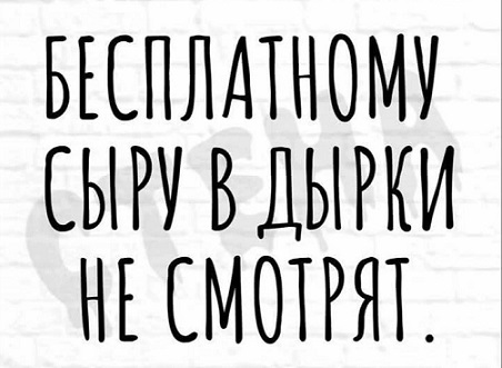 Очередь за забором