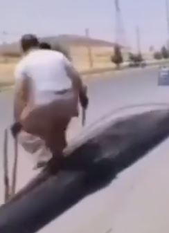 Деградация с баяном