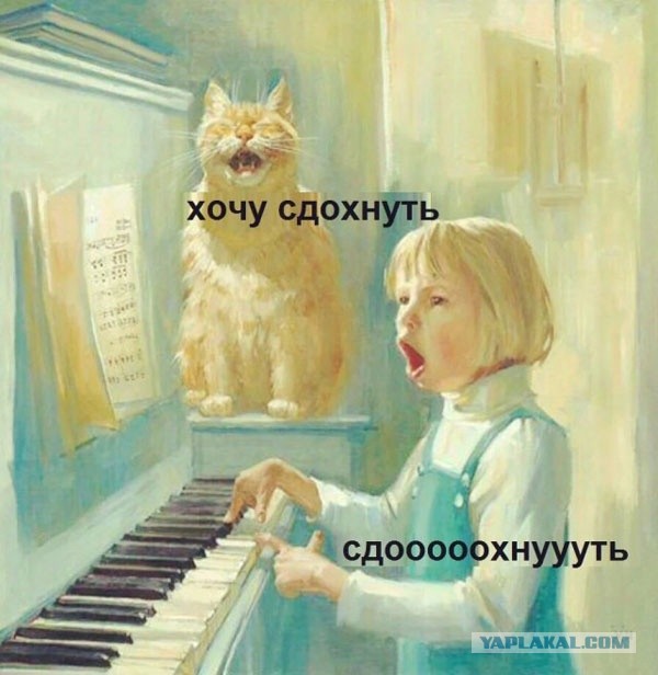 Веселые картинки _)