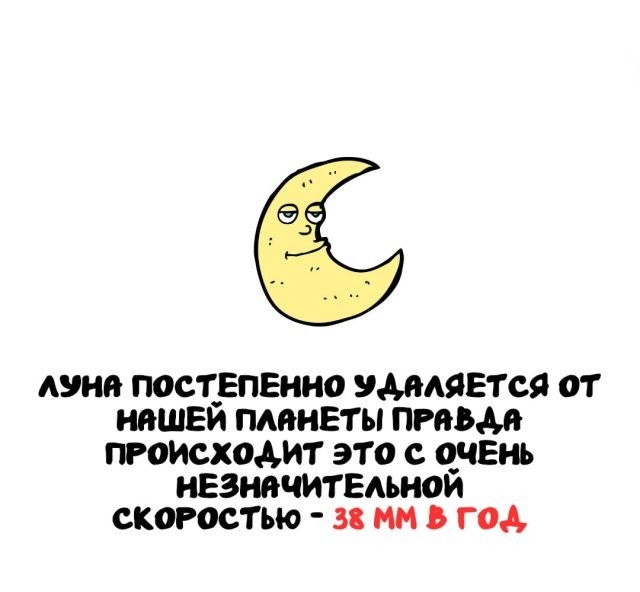 Интересные и короткие факты на все случаи жизни 05.01.26