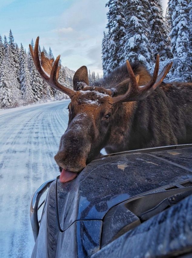 Картиночки на 18.02.2026